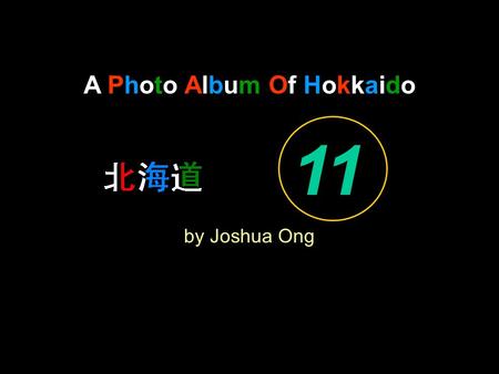 A Photo Album Of Hokkaido by Joshua Ong 11. By The Sakura Trees, I Hang My Guitar.