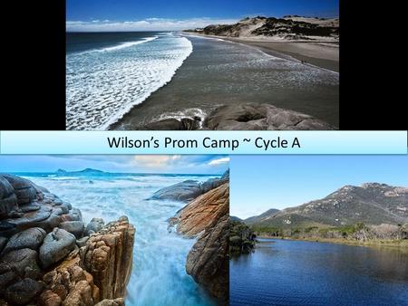 Wilson’s Prom Camp ~ Cycle A. Learning Goals To learn how to respond to challenges To learn how to be responsible for themselves and their experiences.