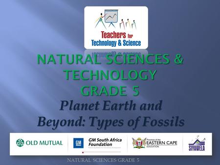 NATURAL SCIENCES & TECHNOLOGY GRADE 5