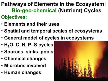 Pathways of Elements in the Ecosystem: Bio-geo-chemical (Nutrient) Cycles Objectives: Elements and their uses Spatial and temporal scales of ecosystems.
