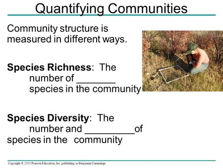 Copyright © 2005 Pearson Education, Inc. publishing as Benjamin Cummings Quantifying Communities Community structure is measured in different ways. Species.