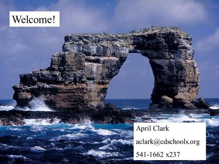 Welcome! April Clark 541-1662 x237.