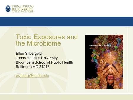 Toxic Exposures and the Microbiome Ellen Silbergeld Johns Hopkins University Bloomberg School of Public Health Baltimore MD 21218