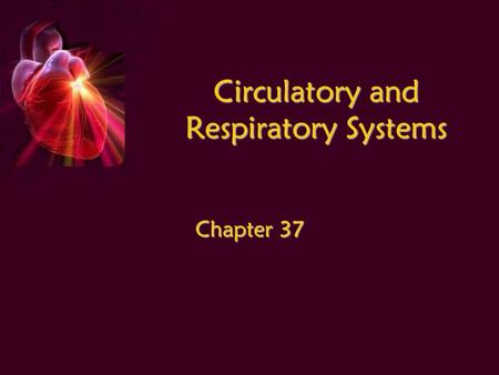 Circulatory and Respiratory Systems Chapter 37. Circulatory System Transports oxygen, nutrients, and hormones throughout body Transports oxygen, nutrients,