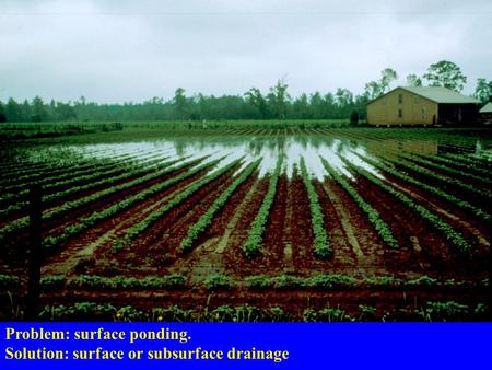 Problem: surface ponding. Solution: surface or subsurface drainage.
