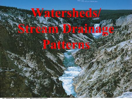 Watersheds/ Stream Drainage Patterns. WATERSHEDS / DRAINAGE BASINS Watershed: The area of land drained by any one stream REMEMBER: a stream is running.