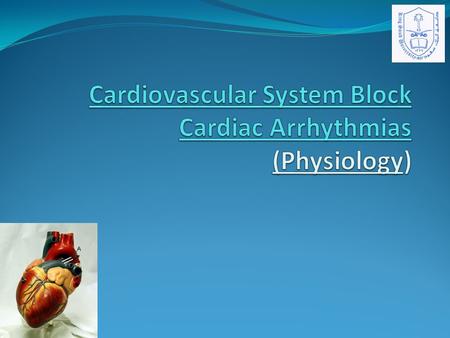 Lecture Objectives Describe sinus arrhythmias Describe the main pathophysiological causes of cardiac arrhythmias Explain the mechanism of cardiac block.