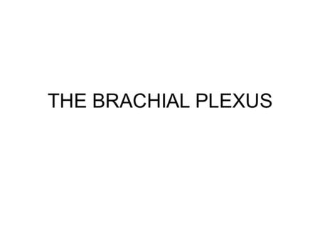THE BRACHIAL PLEXUS.