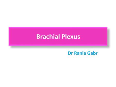 Brachial Plexus Dr Rania Gabr.