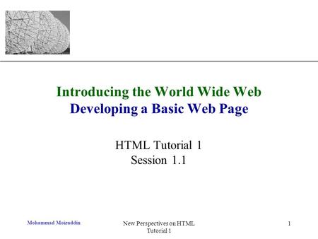 XP Mohammad Moizuddin New Perspectives on HTML Tutorial 1 1 Introducing the World Wide Web Developing a Basic Web Page HTML Tutorial 1 Session 1.1.