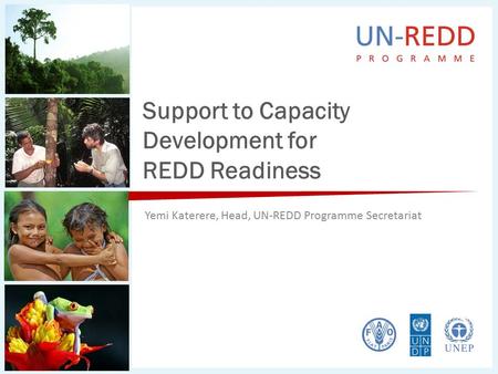 Support to Capacity Development for REDD Readiness Yemi Katerere, Head, UN-REDD Programme Secretariat.
