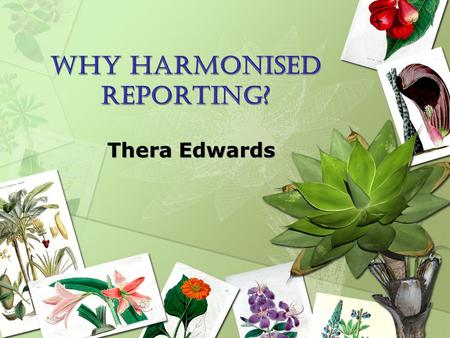 Why harmonised reporting? Thera Edwards. WHAT IS HARMONISATION? Harmonisation can be considered as any activity that leads to a more integrated process.