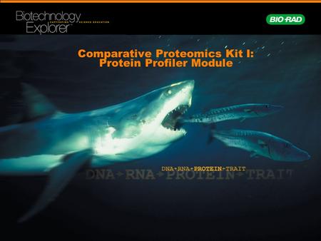 Comparative Proteomics Kit I: Protein Profiler Module