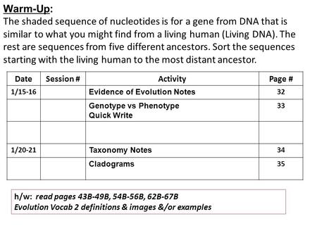 Warm-Up: The shaded sequence of nucleotides is for a gene from DNA that is similar to what you might find from a living human (Living DNA). The rest are.