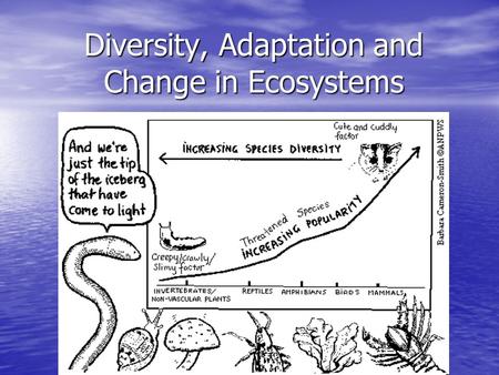 Diversity, Adaptation and Change in Ecosystems. Biodiversity and Classification Scientists estimate that there are between 2 and 4.5 million different.
