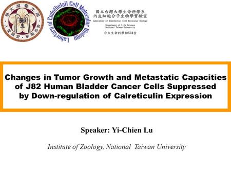 Changes in Tumor Growth and Metastatic Capacities of J82 Human Bladder Cancer Cells Suppressed by Down-regulation of Calreticulin Expression Speaker: Yi-Chien.