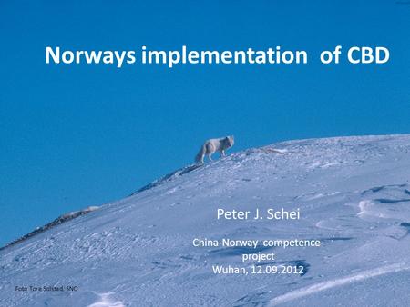 Foto Tore Solstad, SNO Norways implementation of CBD Peter J. Schei China-Norway competence- project Wuhan, 12.09.2012.