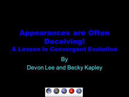 Appearances are Often Deceiving! A Lesson in Convergent Evolution By Devon Lee and Becky Kapley.