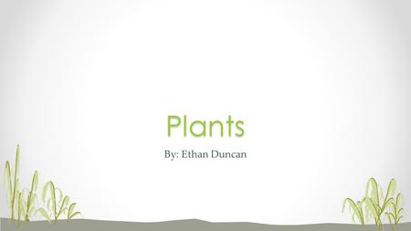 By: Ethan DuncanPlants. Plants are living organisms that cover much of the land of planet Earth. You see them everywhere. They include grass, trees, flowers,
