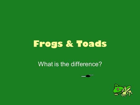 Frogs & Toads What is the difference?. Frogs! Two bulging eyes Strong, long, webbed hind feet that are adapted for leaping and swimming Smooth or slimy.