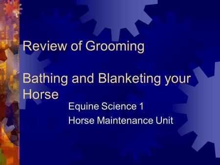 Review of Grooming Bathing and Blanketing your Horse Equine Science 1 Horse Maintenance Unit.