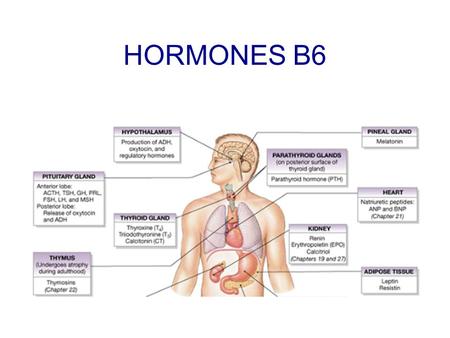 HORMONES B6. Hormones – chemical messengers Produced in the endocrine glands and secreted directly into the blood. Only effect cells that have “target.