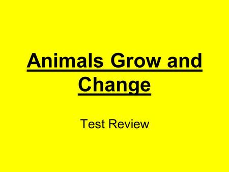 Animals Grow and Change Test Review. What do a dog and parrot need to survive? food, water, & air Click here for answer Next.