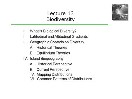 Lecture 13 Biodiversity I.What is Biological Diversity? II.Latitudinal and Altitudinal Gradients III.Geographic Controls on Diversity A.Historical Theories.
