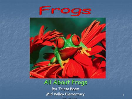 All About Frogs By: Trista Beam Mid Valley Elementary