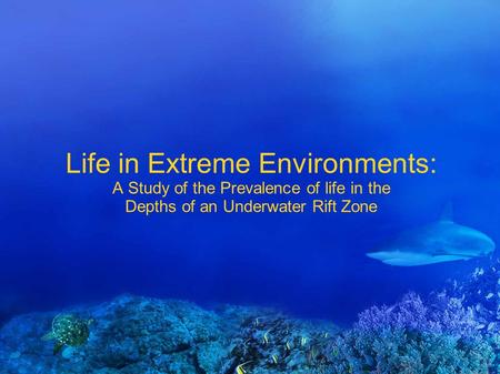 Life in Extreme Environments: A Study of the Prevalence of life in the Depths of an Underwater Rift Zone.