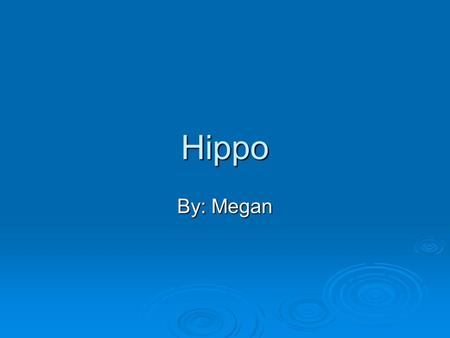 Hippo By: Megan Habitat  Swamps, ponds, and lakes  North and East Africa in the shrub lands  Dwarf hippo lives in India.