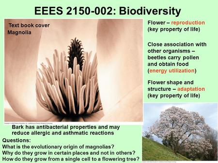 Text book cover Magnolia Flower – reproduction (key property of life) Close association with other organisms – beetles carry pollen and obtain food (energy.