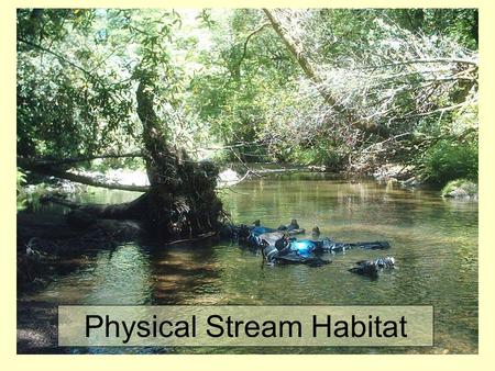 Physical Stream Habitat. What is “Habitat”? Broad Definition (EPA): “The spatial structure of the environment which allows species to live, reproduce,