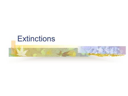 Extinctions. Loss of Biodiversity EXTINCTION - the disappearance of a species Extinctions have been occurring constantly at a low 'background rate', usually.