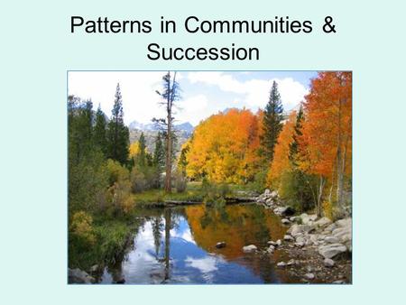 Patterns in Communities & Succession. Species Richness Species richness: number of species in a community Species evenness: relative abundance of species.