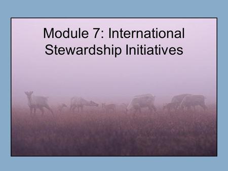 Module 7: International Stewardship Initiatives. Premises Most environmental issues in the Arctic are international in nature. Why?? Multidisciplinary.
