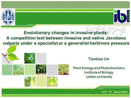 Evolutionary changes in invasive plants: A competition test between invasive and native Jacobaea vulgaris under a specialist or a generalist herbivore.