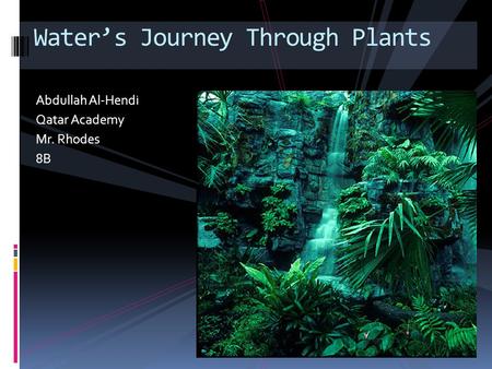 Abdullah Al-Hendi Qatar Academy Mr. Rhodes 8B Water’s Journey Through Plants.