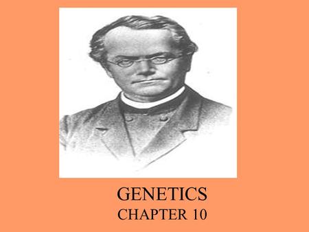 GENETICS CHAPTER 10. GENETICS = THE STUDY OF HEREDITY AND ITS VARIATION. THE FATHER OF GENETICS: GREGOR MENDEL WE HAVE 46 CHROMOSOMES (23 PAIRS) EACH.