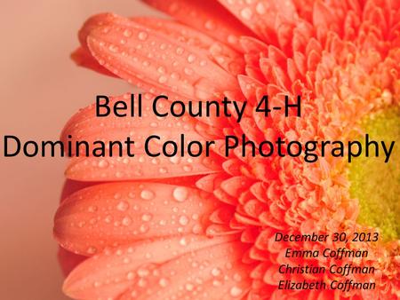 Bell County 4-H Dominant Color Photography December 30, 2013 Emma Coffman Christian Coffman Elizabeth Coffman.