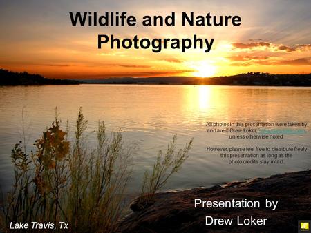 Wildlife and Nature Photography Presentation by Drew Loker Lake Travis, Tx All photos in this presentation were taken by and are ©Drew Loker, www.drewloker.com,