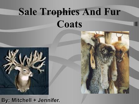 Sale Trophies And Fur Coats By: Mitchell + Jennifer.