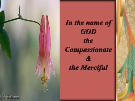 In the name of GOD the Compassionate & the Merciful.