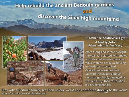 About the initiative: This is a community initiative run by the Jabaleya Bedouin tribe, aimed at helping the gardeners of the Sinai high.