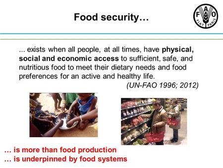 Food security… ... exists when all people, at all times, have physical, social and economic access to sufficient, safe, and nutritious food to meet their.