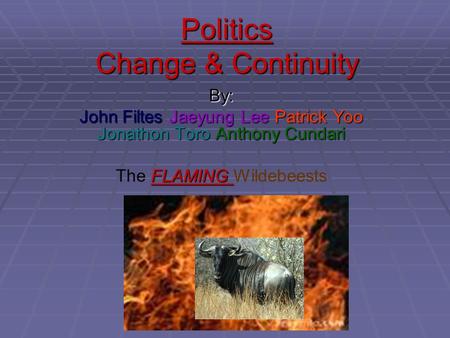 Politics Change & Continuity By: John Filtes Jaeyung Lee Patrick Yoo Jonathon Toro Anthony Cundari FLAMING The FLAMING Wildebeests.