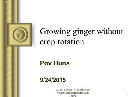9/24/2015 All of this can be done natuarally without chemical fertilizers and sprays. 1 Growing ginger without crop rotation Pov Huns This presentation.