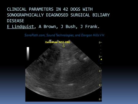 CLINICAL PARAMETERS IN 42 DOGS WITH SONOGRAPHICALLY DIAGNOSED SURGICAL BILIARY DISEASE E Lindquist, A Brown, J Bush, J Frank. SonoPath.com, Sound Technologies,