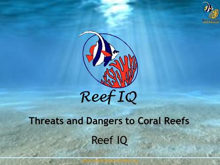 Threats and Dangers to Coral Reefs