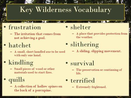 Key Wilderness Vocabulary frustration –T–The irritation that comes from not achieving a goal. hatchet –A–A small, short handled axe to be used with only.